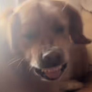 Meet your Posher, Kamila